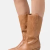Anna Field Stivali Texani / BikerCognac Donna Stivali AN611A1CU-O11